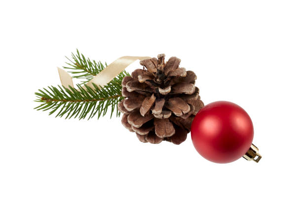istock christmas decoration ornament with fire branches, pine cone and red ribbon bow isolated on white 2204715021