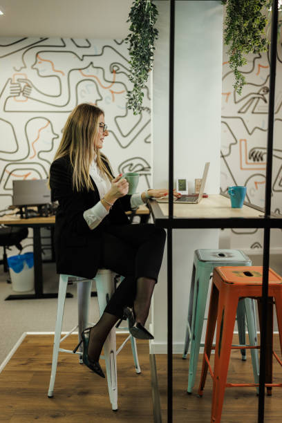 istock Young Businesswoman Working in Office Space 2204716786