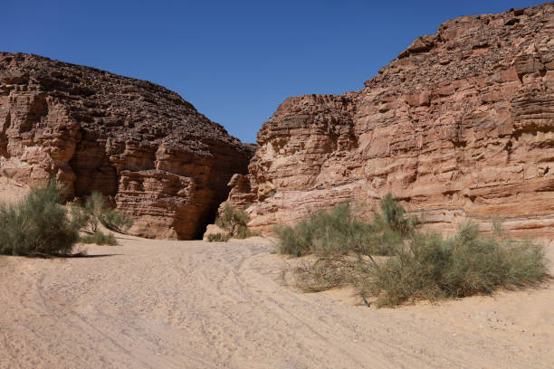 istock Desert landscape in African deserts. 2204722543