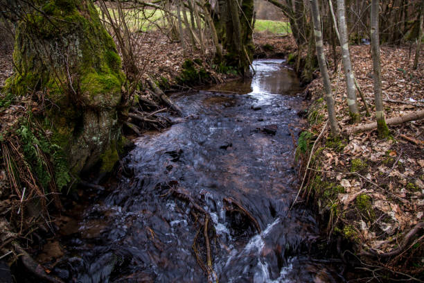 istock A clean, clear stream in a forested area. 2204723641