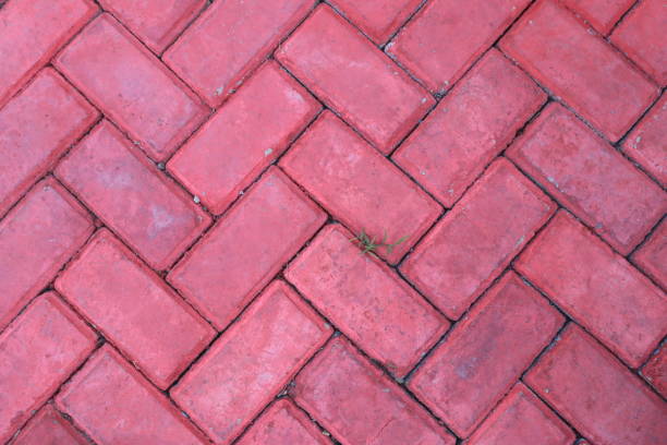 Paving blocks are neatly arranged and painted red, creating an elegant and aesthetic look. The well-organized pattern provides a clean and orderly impression while enhancing the visual appeal of the area. The red color not only adds beauty but also creates a striking contrast with the surroundings. These paving blocks are commonly used for sidewalks, courtyards, or public spaces to achieve a more attractive and structured appearance.