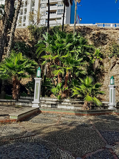 Palm trees stand gracefully beside a timeless column with artfully arranged rocks on the floor
