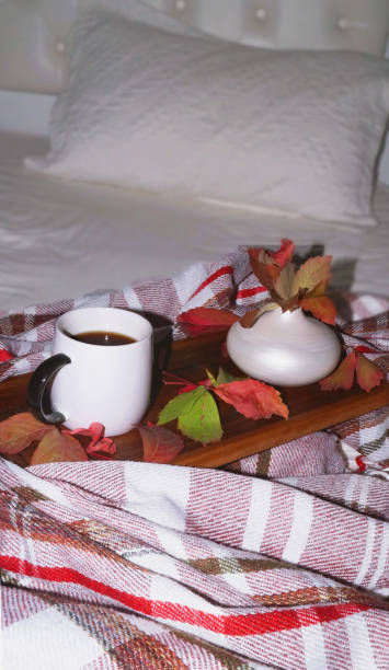 istock coffee in bed covered with blanket .Autumn mood 2204737341