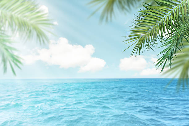 istock Summer sea and seascape with palm branches, sun and clouds in foreground with empty space for text. Defocus background. Blurred travel and vacation backdrop. Abstract summer background design element 2204741032