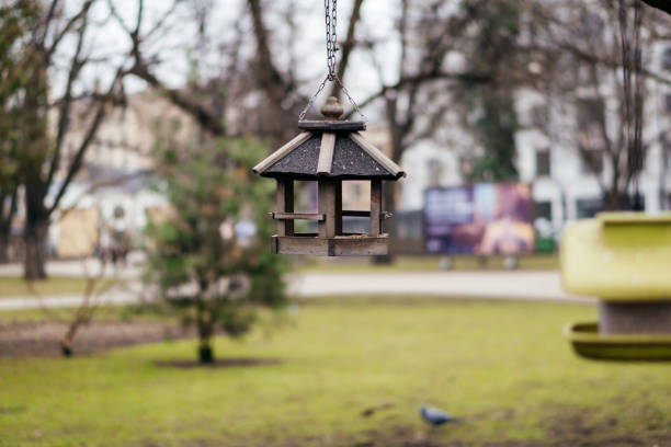 A rustic wooden bird feeder hangs from a tree branch in an urban park, creating a cozy and inviting scene for birds. High quality photo