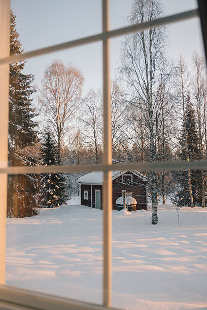 Winter and snow themes.