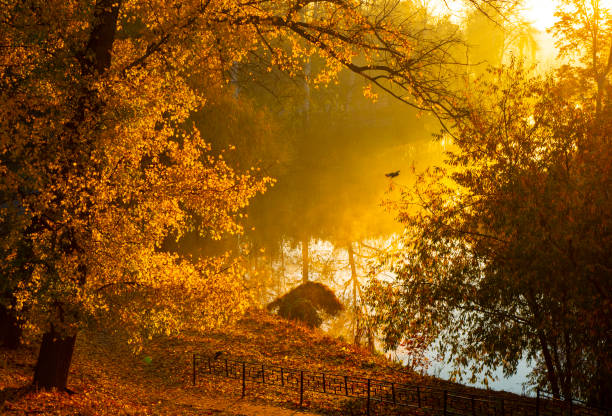 The fog is especially beautiful when it is hit by the rays of the rising Sun.
