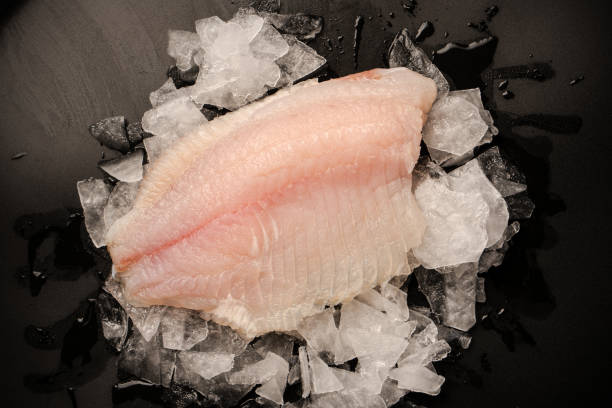 istock Fresh tilapia fillet on ice on black background 2204756711