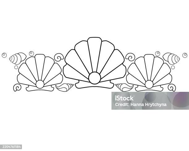 Three Shells Infographic Three Scallop Shells With Pearls And Other Small Shells Vector Linear ...