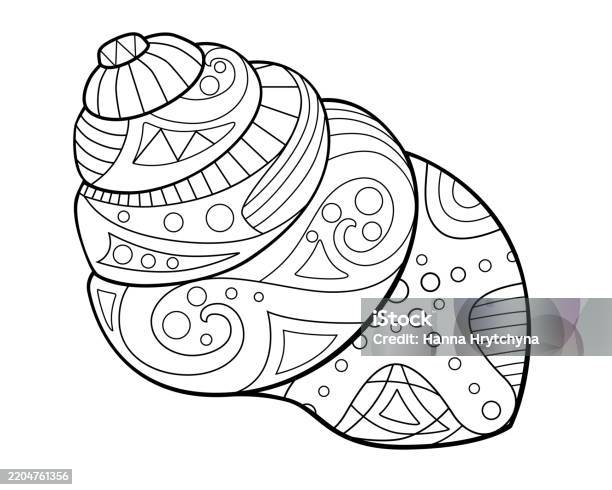 Cone Shell Pattern Swirling Coneshaped Shell With A Marine Pattern Antistress Coloring ...