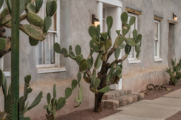 istock Home in the Barrio 2204763572