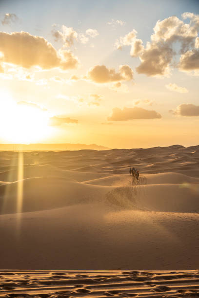 exploring the Saraha desert in Morocco . High quality photo