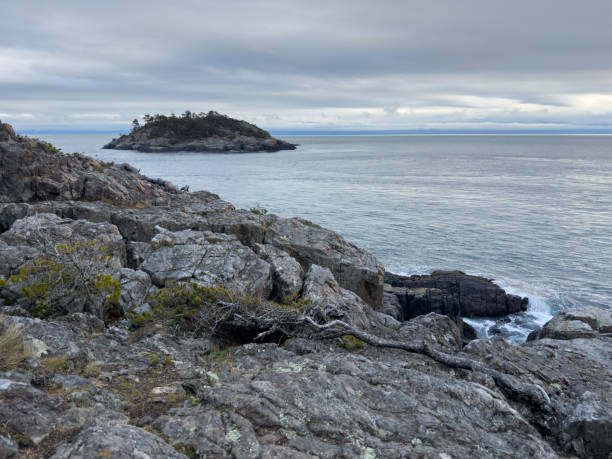 istock Rugged coast in the Pacific Northwest 2204768022