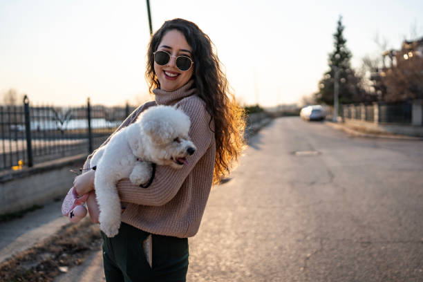 istock Smiling Woman Holding Fluffy Dog Outdoors at Sunset 2204772953