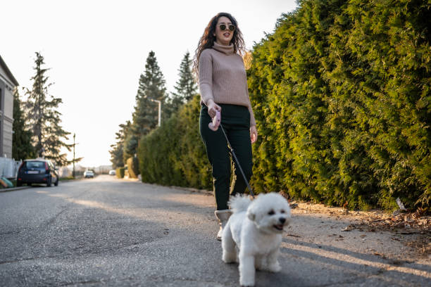 istock Woman Smiling While Walking a Small White Dog Along a Quiet Street 2204773399