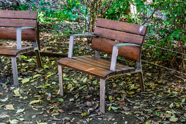 Two wooden park benches with metal armrests surrounded by fallen leaves in a forest setting.