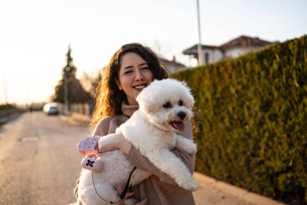 istock Smiling Woman Holding a Fluffy White Dog During a Sunset Walk 2204777413