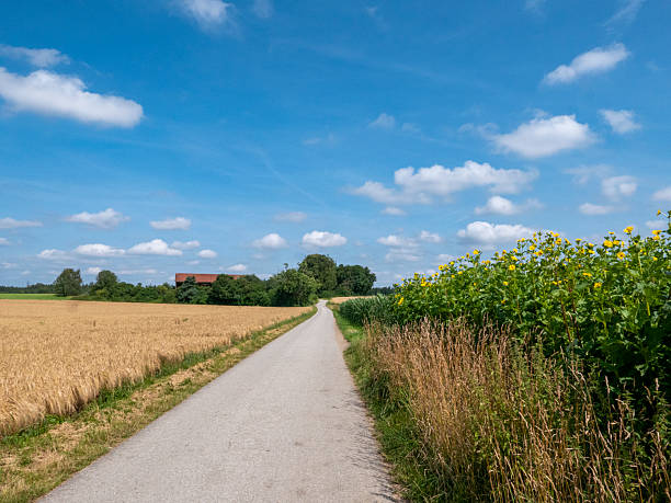 istock Landscape near Aying in Bavaria. 2204779038