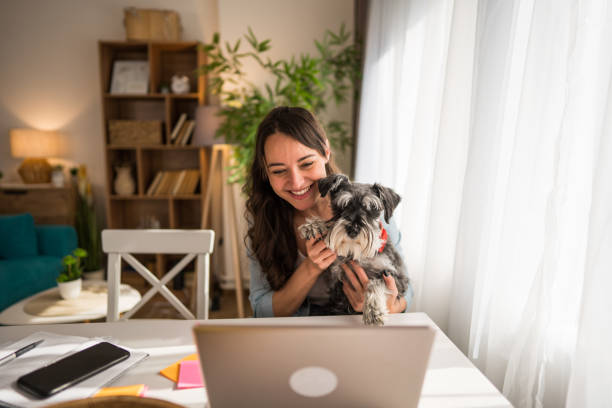 istock Woman working from home and having a video call with her dog 2204787944