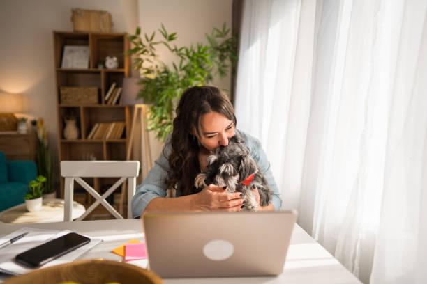 istock Young woman working from home and embracing her dog 2204787960