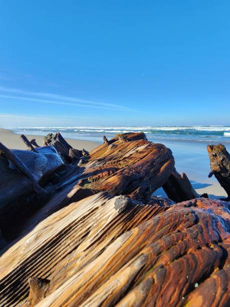 istock Century-Old Shipwreck Remnants 2204788387