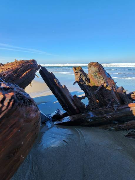 istock Inside Front View of the  Sybil Marston Shipwreck 2204788389