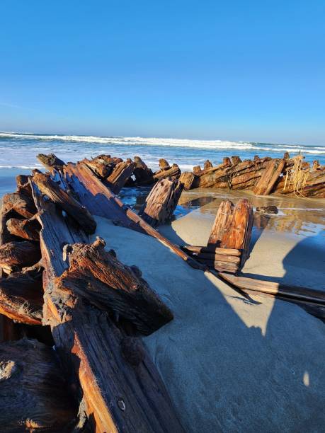 istock Inside View of the Shipwrecked Sybil Marston 2204788398