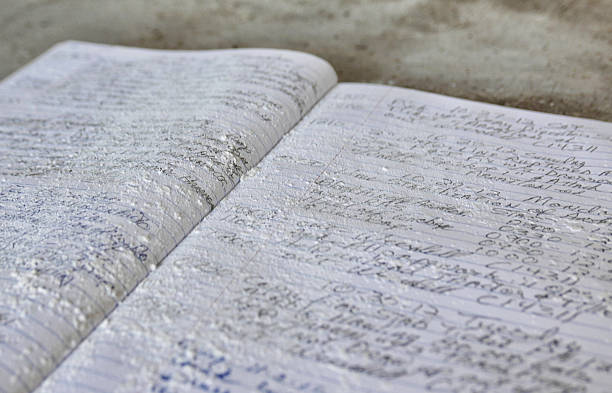 istock Old dusty journal book with black and blue cursive ink writing opened up on a dusty brown table 2204794607
