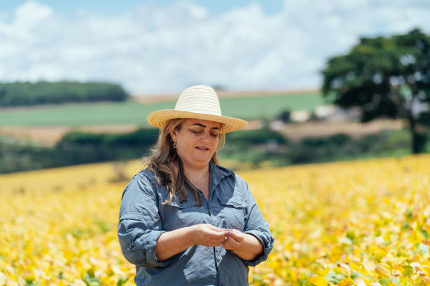 istock Female farmer examining ripening soybean field 2204798527