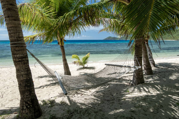 istock A hammock hangs between two coconut trees on a tropical island beach in the shade, with blue water and a coral reef in the distance. 2204799443