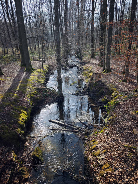 istock creek near Robern 2204800644