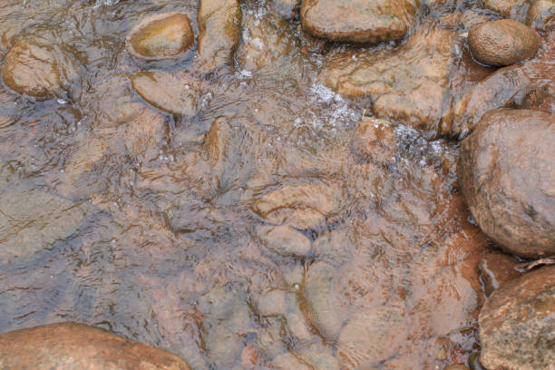 Water flowing over algae covered rocks at the mountain river through forest in summer. Nature background.