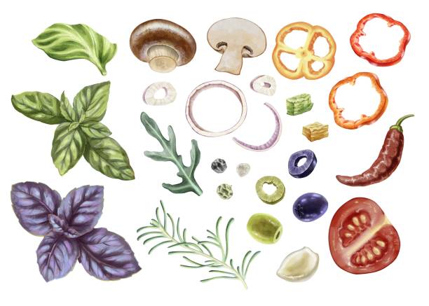 istock Fresh groceries: herbs, mushrooms, olives, onion, pepper and tomato. Suitable for Italian restaurant menus, cookbooks, food magazines, culinary websites, blogs about wellness and healthy, diet eating. High quality illustration 2204809048