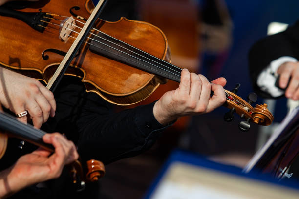 istock Viola in the hands of a musician 2204810426