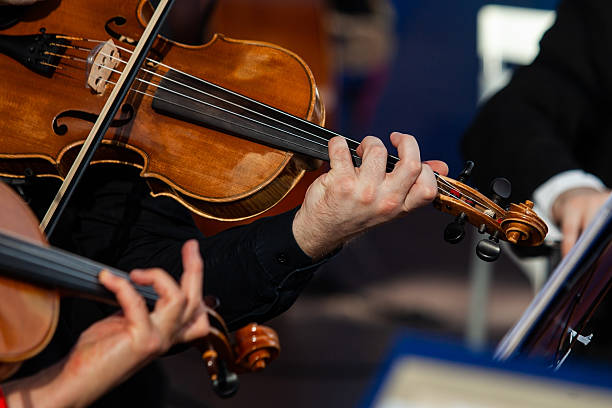 istock Viola in the hands of a musician 2204810435