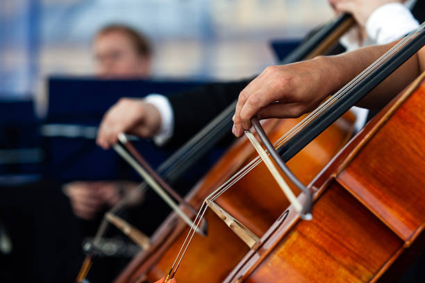 istock Musician hand playing the contrabass 2204810455