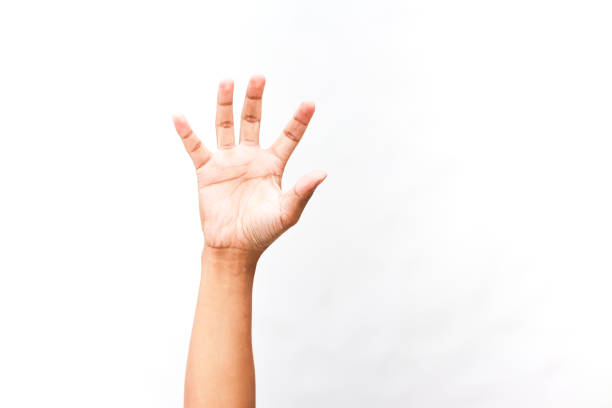 istock Isolated human hand reaching up, signaling number five with opened fingers 2204816913