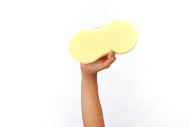 istock Upward Hold: A Pale Yellow Sponge in a Raised Hand Against Clean Backdrop 2204818158