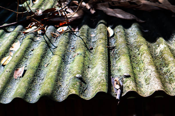 Weathered Corrugated Metal Roof Green and Brown Texture Abstract Pattern