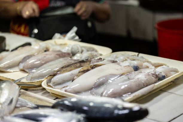 Fresh squids on local fish market stall.\nPalawan Island - Philippines.