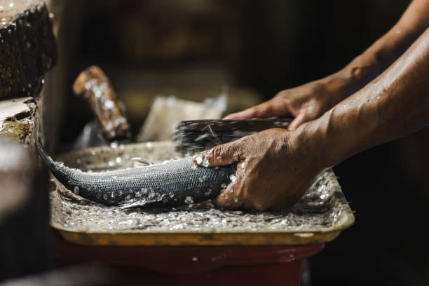 Filipino man is preparing fresh fish for sell.