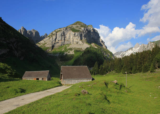 istock Saxer First, mountain in Appenzell Canton, Switzerland 2204823287