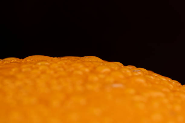 one pumpkin wet in water , details the peel of a ripe orange pumpkin covered with drops of water