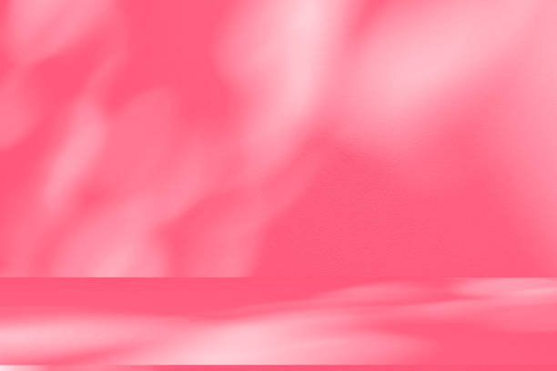 istock Wall interior background, studio, and backdrops show products. with shadow from window color white and pink light. background for text insertion and presentation of product 2204824881