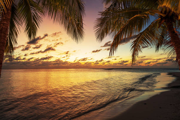 istock Tropical paradise beach with dramatic sky and clouds during sunset 2204830401