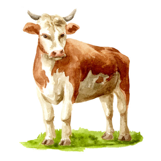 istock ow standing on the grass. Hand drawn watercolor illustration, isolated on white background 2204830557