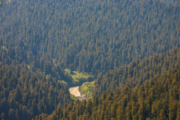 Redwood National Park in California