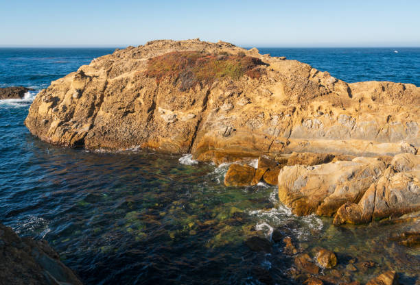 Point Lobos State Natural Reserve, California