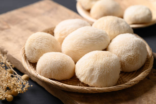 istock Lion's Mane mushroom or Yamabushitake mushroom 2204841428