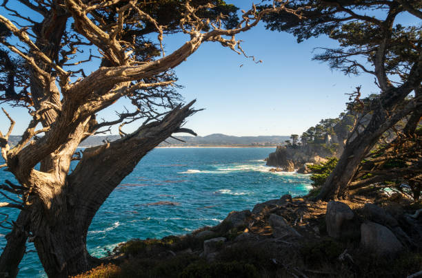 istock Rock Formations and Ocean at Point Lobos State Natural Reserve 2204843118